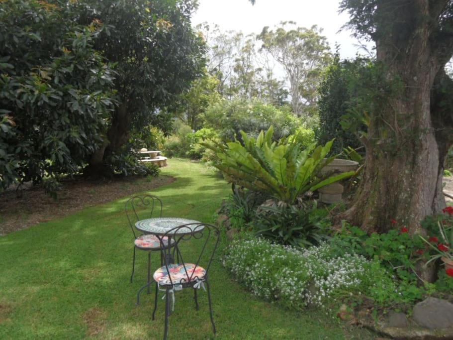 Moonya Avocado Farm Cottage - With Early Check-In Гора Тамборин Екстер'єр фото